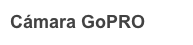 Cámara GoPRO